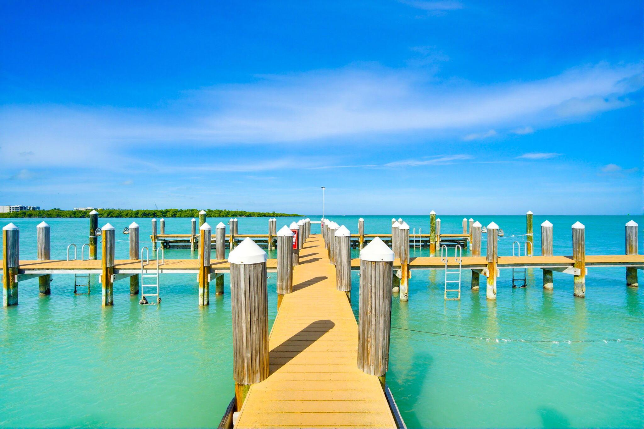 Image 3: Dock