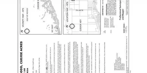 Image 3: Disturbed Pine - Parcel DDD Bndy ESS (1)