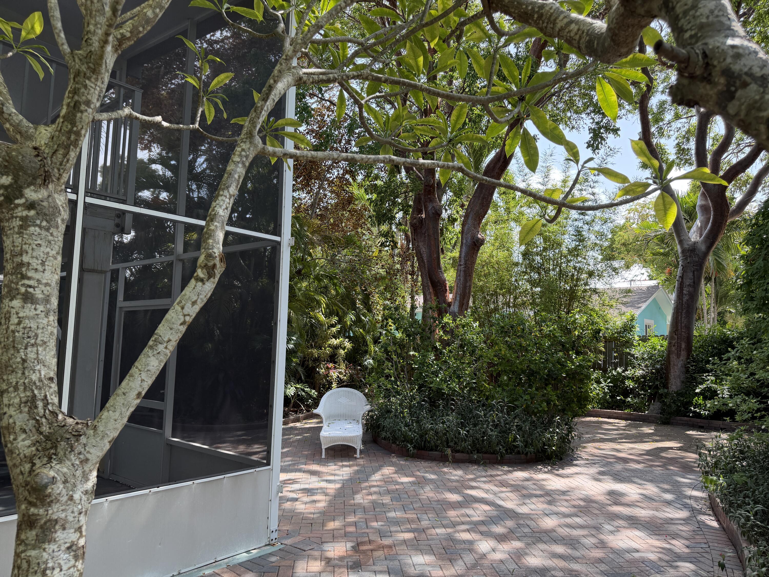 Image 2: Backyard