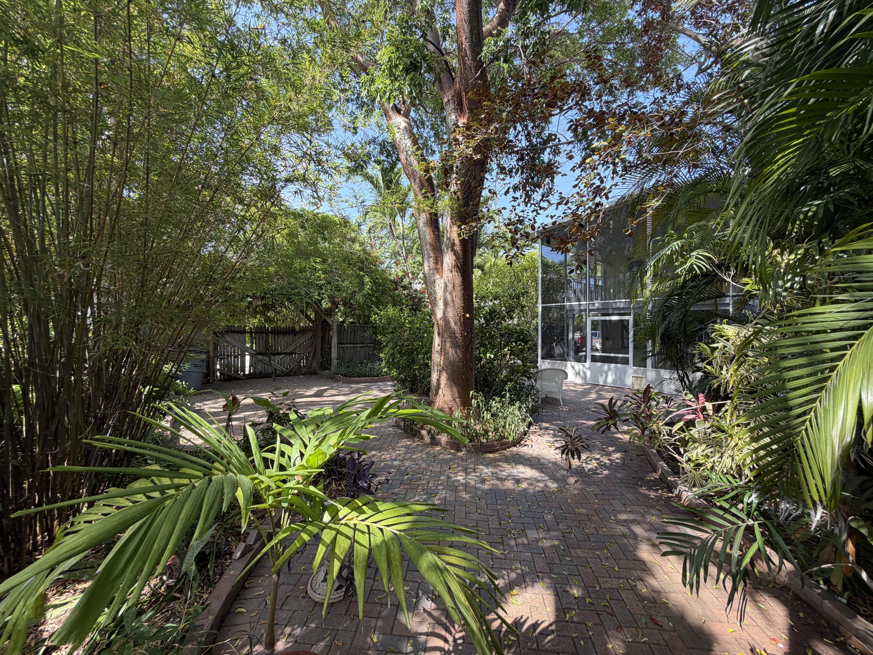 Image 4: Backyard