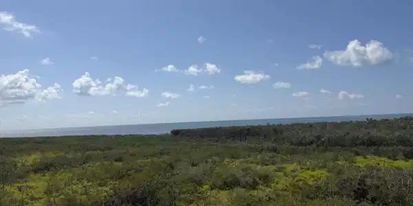 Image 3: Nice Ocean View