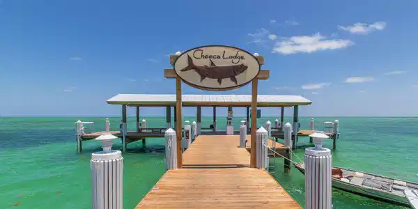 Image 2: Dock and ocean views