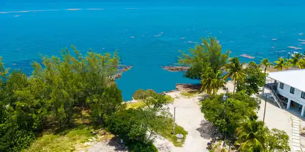 Image 3: DJI_20260716130515_0025_D-Edit