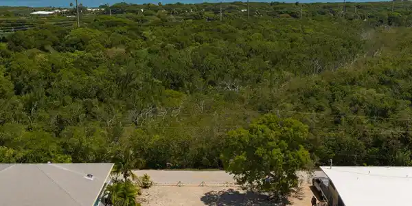 Image 2: DJI_20260617114856_0434_D