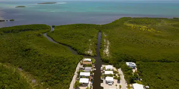 Image 3: DJI_20260617114156_0416_D