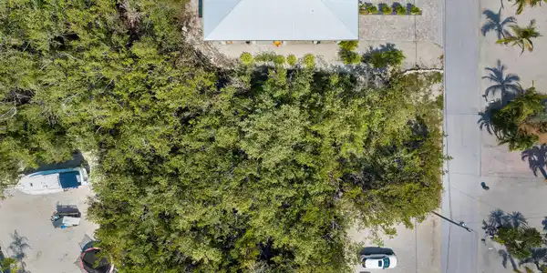 Image 3: Aerial