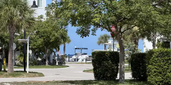 Image 4: Marina view from the Lot