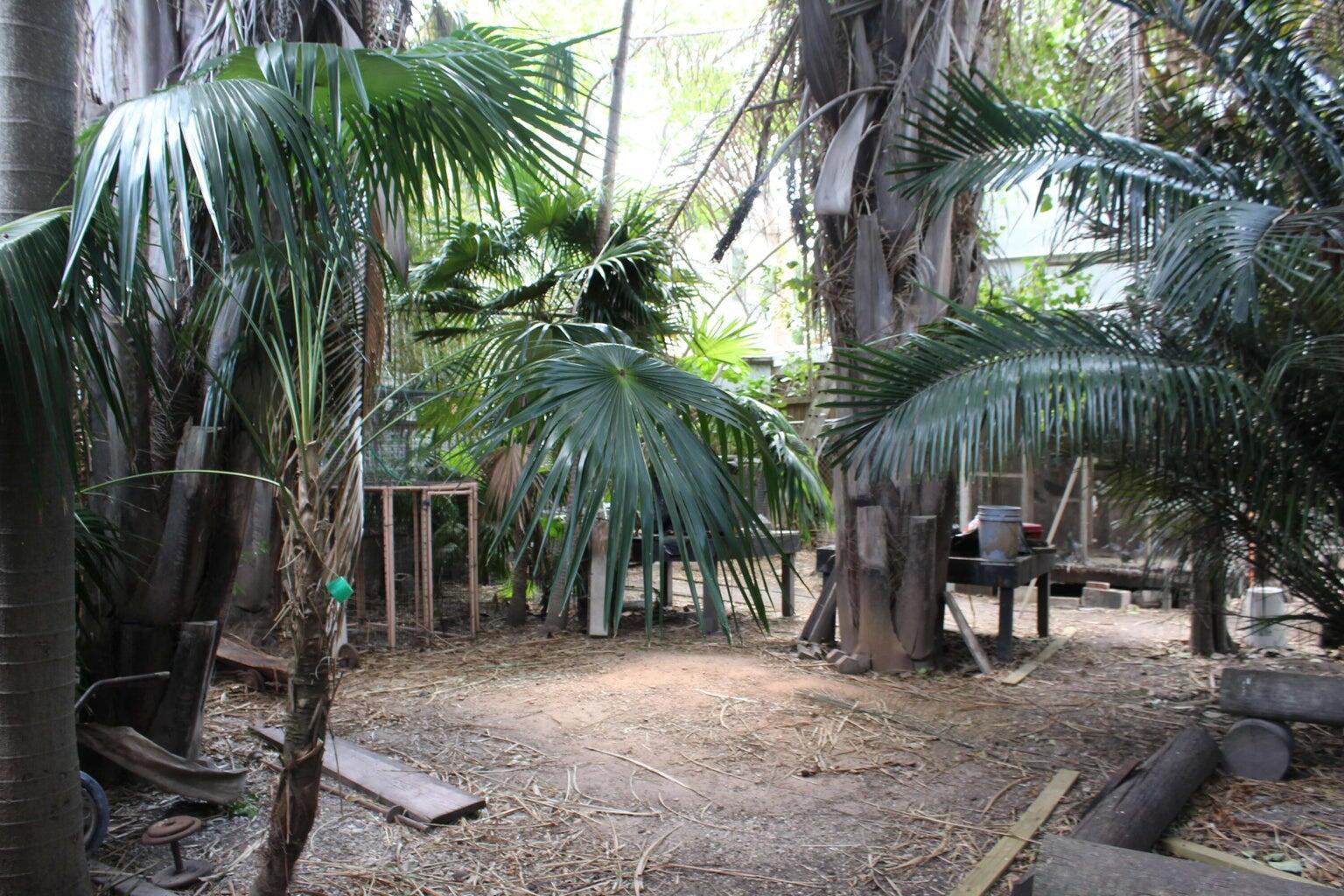 Image 4: Backyard