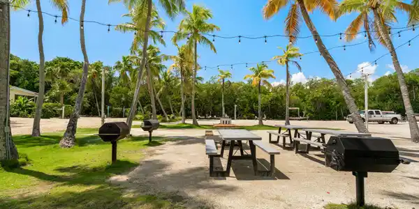 Image 4: 81200 Overseas Hwy