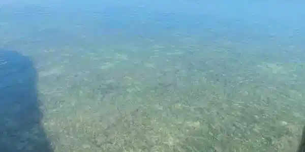 Image 2: 3) 74995-6a6ff37e22008