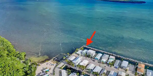Image 2: Aerial