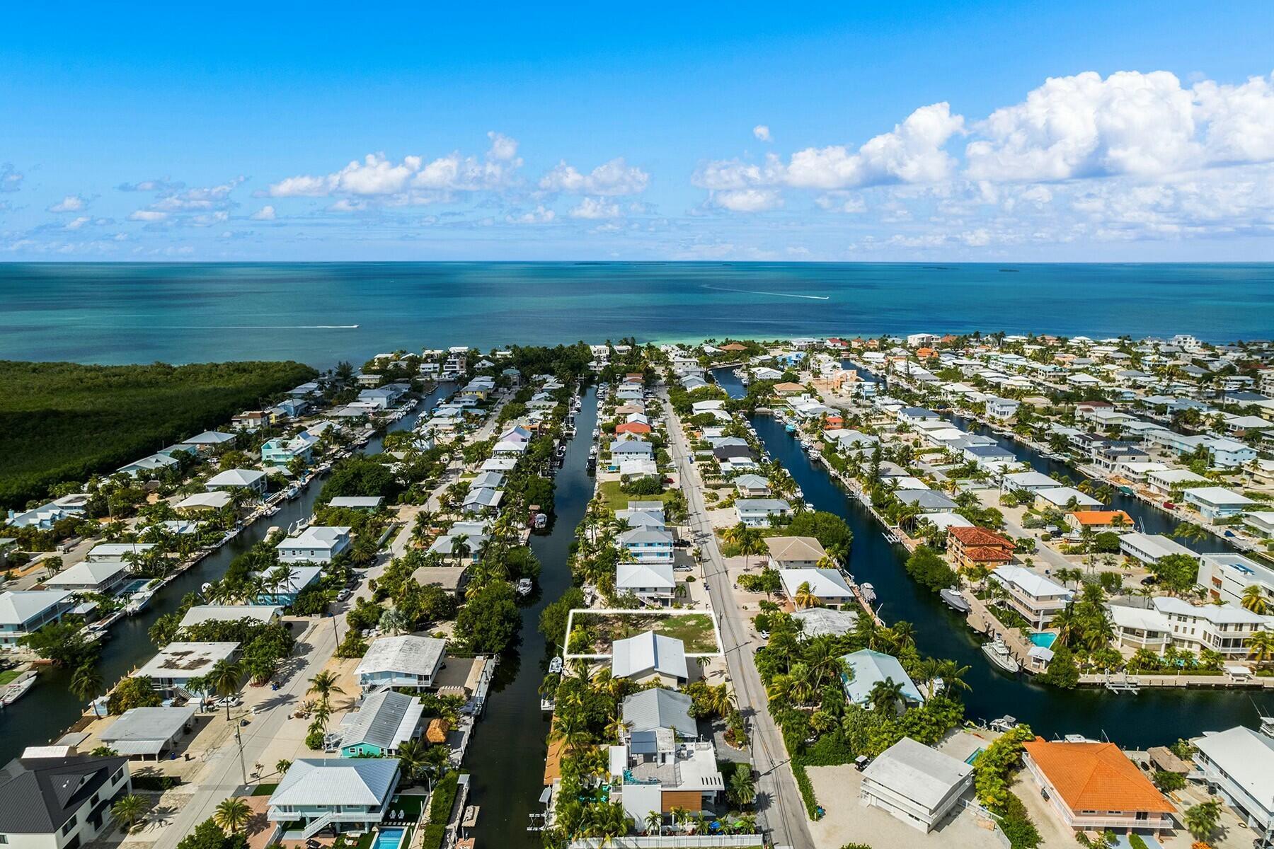 Image 4: Aerial View