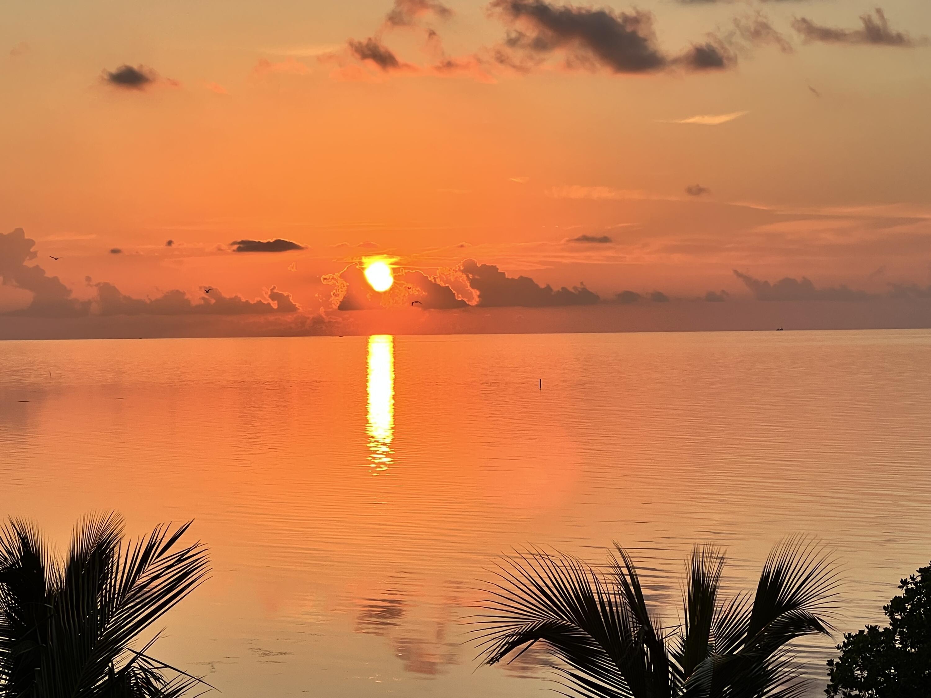 Image 3: Spectacular Sunrise