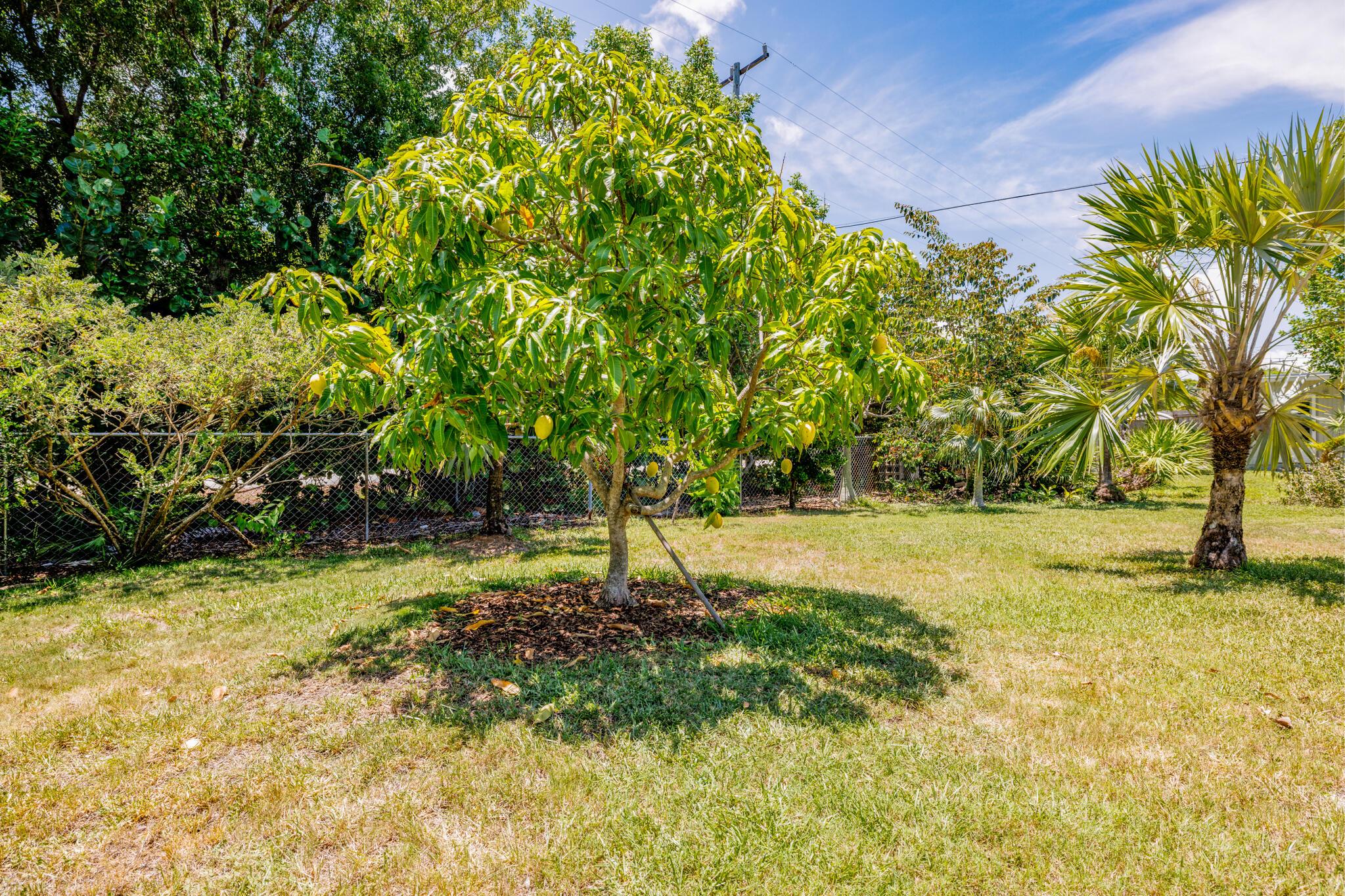 Image 3: MLS 30416 Coconut Hwy-3