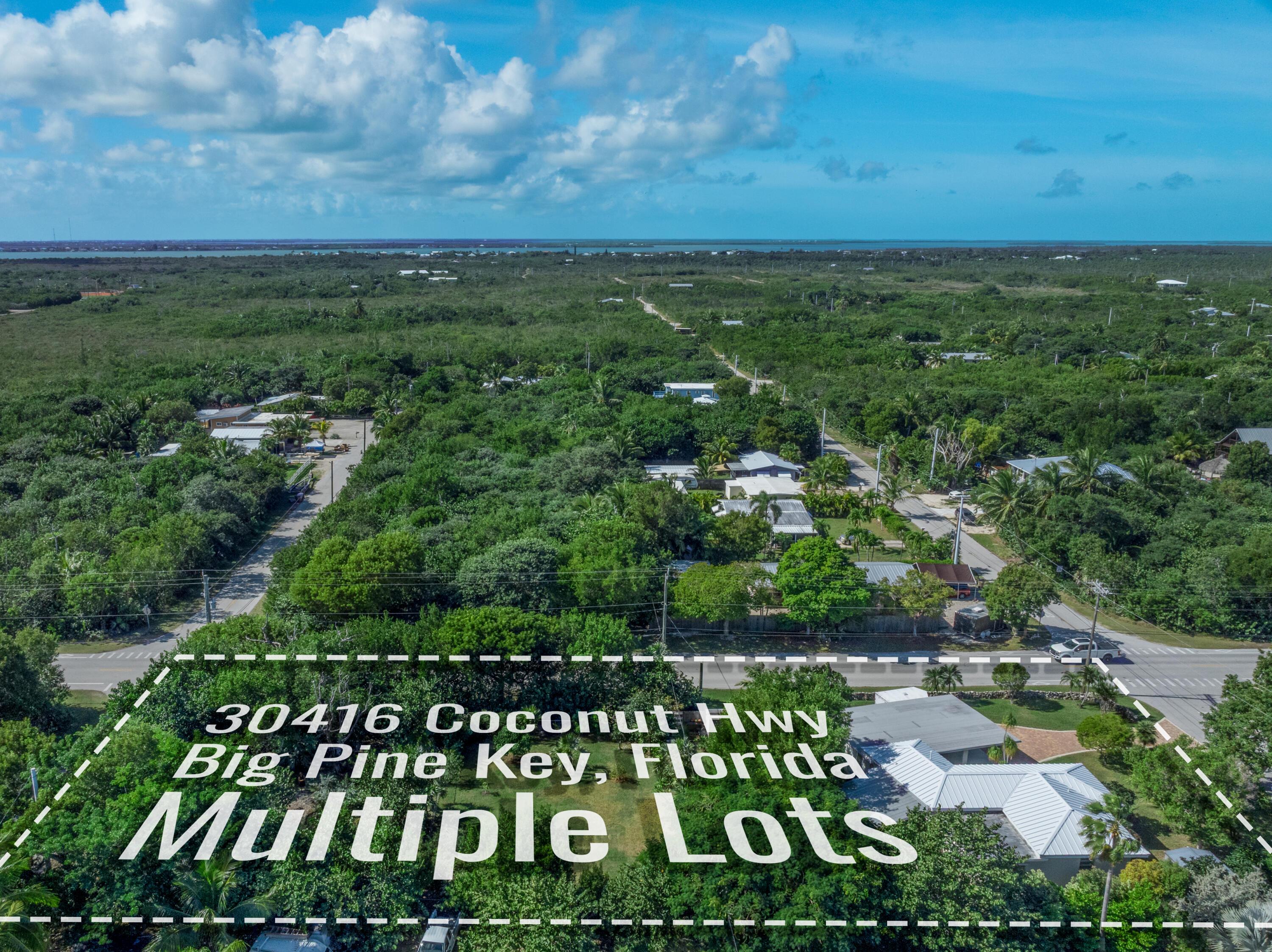 Image 4: Aerial lot, multiple lots