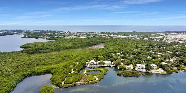 Image 2: Aerial view