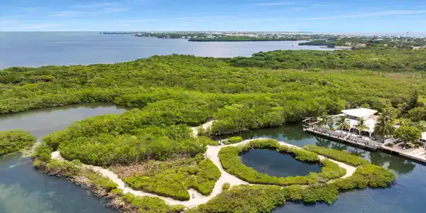 Image 3: Aerial view
