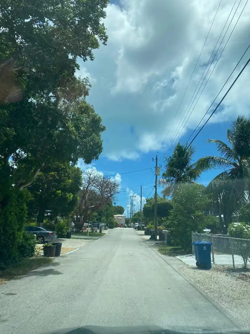 Image 1: MARISELA LAND PICTURES.