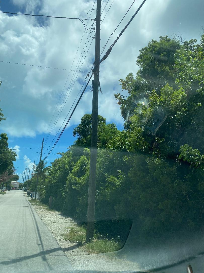 Image 2: MARISELA LAND PICTURES 2