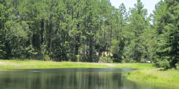 V/L 81, 306 Cumberland Harbour Boulevard, St. Marys GA 31558