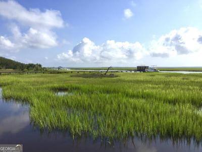 Tattnal Lane, St. Marys GA 31558