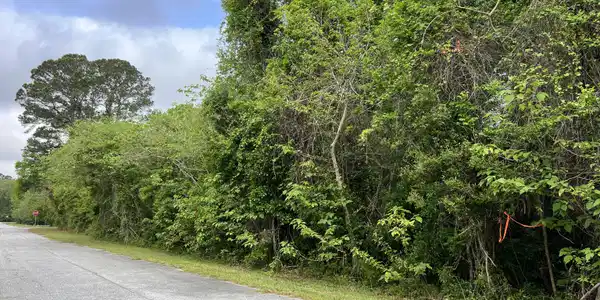 204 W Meeting Street, St. Marys GA 31558