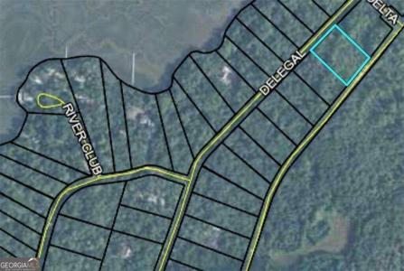 41 Delegal Drive, Townsend GA 31331