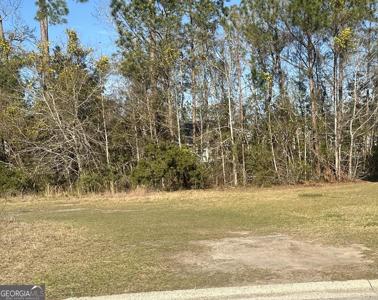 60 Powers Landing, Brunswick GA 31525