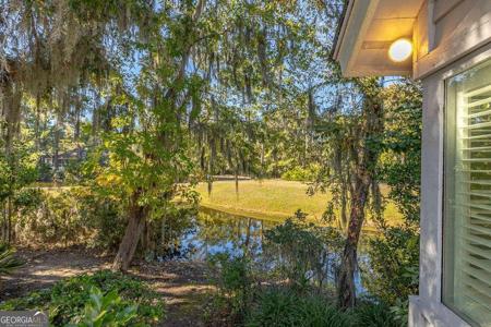 3 Bay Tree Court W, St. Simons GA 31522