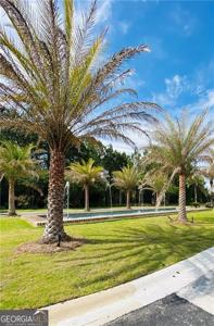 365 Pelican Drive, Waverly GA 31565