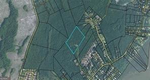 19 Acres Gould Branch Road