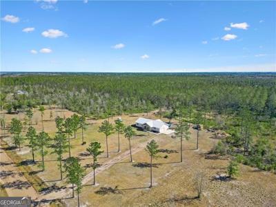 1757 McIntosh Trail SE, Townsend GA 31331