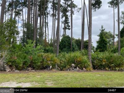 2351 Isles Of St Marys Way, St. Marys GA 31558