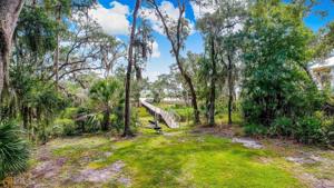 0 Spanish Moss Ch #45 Court