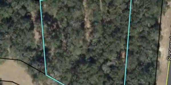 Blakberry Lane NE, Townsend GA 31331