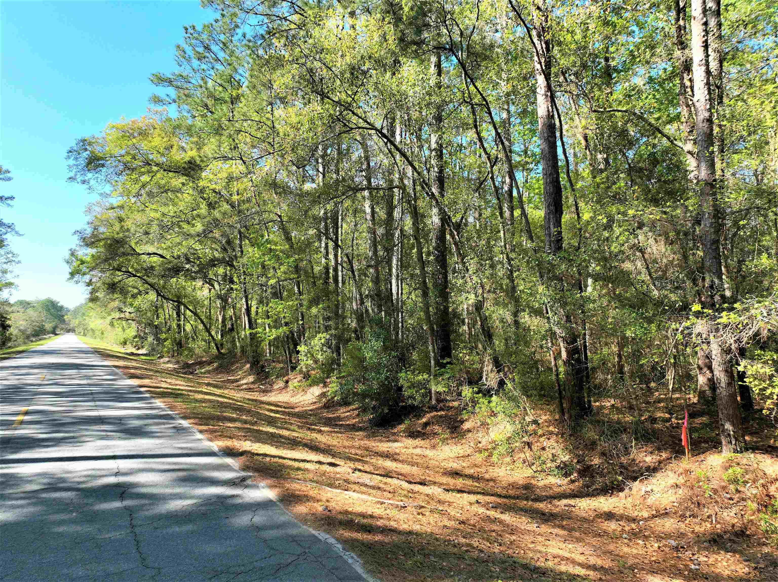 0 Piney Bluff Road Road, Waverly, GA lhrmls01726904