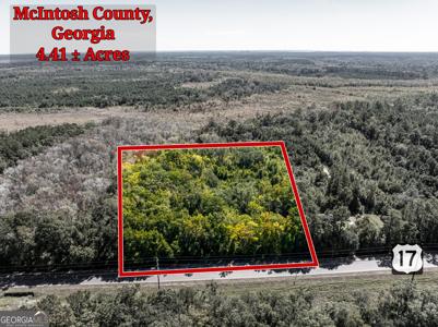 4.41 ACRES Highway 17, Townsend GA 31331