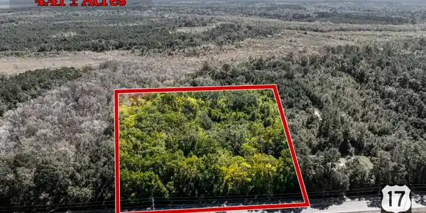 4.41 ACRES Highway 17, Townsend GA 31331