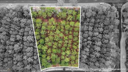 Lot 83 Fiddlers Cove, Townsend GA 31331