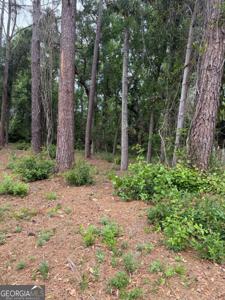 134 Palmera Lane, Brunswick GA 31520
