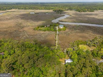 Lot 8 W Black Island Road SE, Darien GA 31305