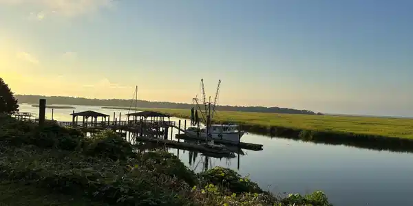 Pelican Perch Drive, Townsend GA 31331