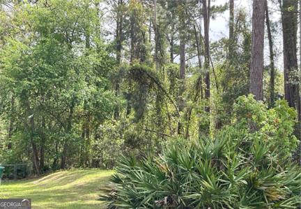 2.18 Acres Sailfish Drive, Darien GA 31305