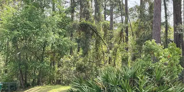 2.18 Acres Sailfish Drive, Darien GA 31305