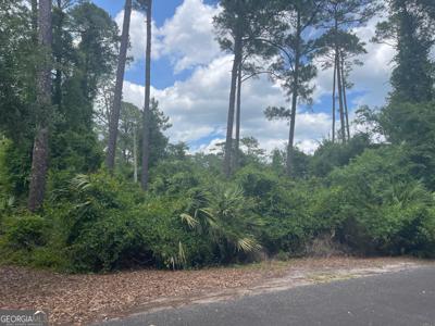 100 Springtide Lane, St. Marys GA 31558