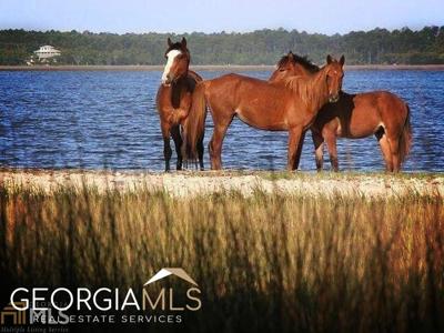 306 Teather Drive, St. Marys GA 31558
