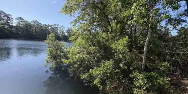 155 Palmera Lane, Brunswick GA 31525