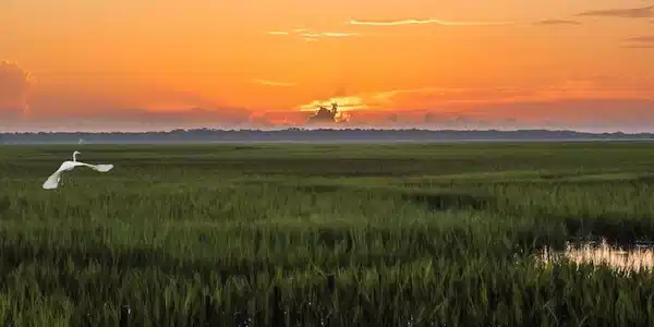 103 Carousers Cove, St. Marys GA 31558