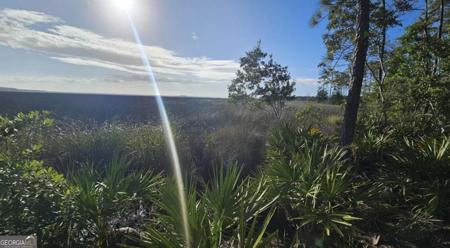 Lot 217, St. Marys GA 31558 2130 Isles Of St Marys Way