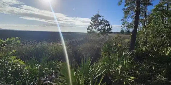 Lot 217, St. Marys GA 31558 2130 Isles Of St Marys Way